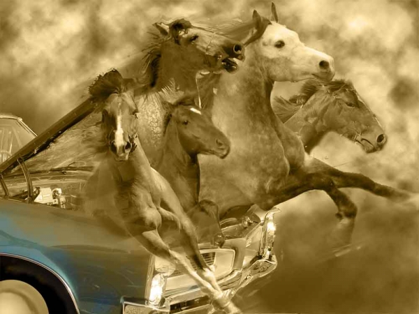 Creation of Real Horse Power ...: Step 5
